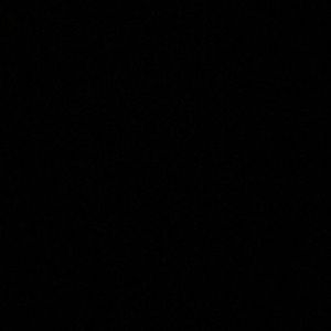 Meet your Posher, Freddy